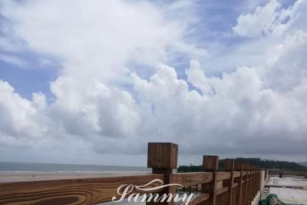 陽江江城區(qū)恒大海上夏威夷鋼結(jié)構(gòu)仿木紋案例