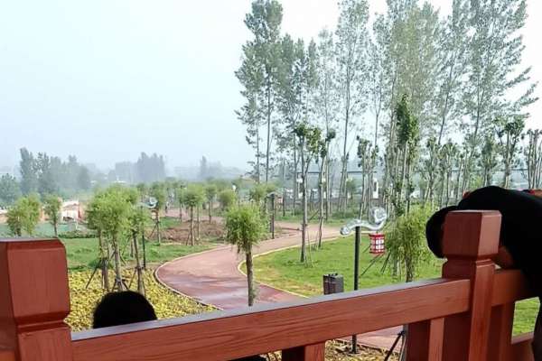 河北省邯鄲地區成安縣縣中醫院護欄仿木紋效果