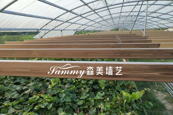 浙江湖州吳興區釣魚臺村家庭農場廊架木紋漆項