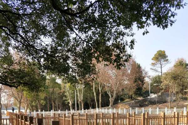湖北洪山區(qū)青化路白玉公園鋼構(gòu)護(hù)欄項目