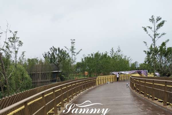溫州甌海大道三羊濕地公園護欄仿木紋漆案例